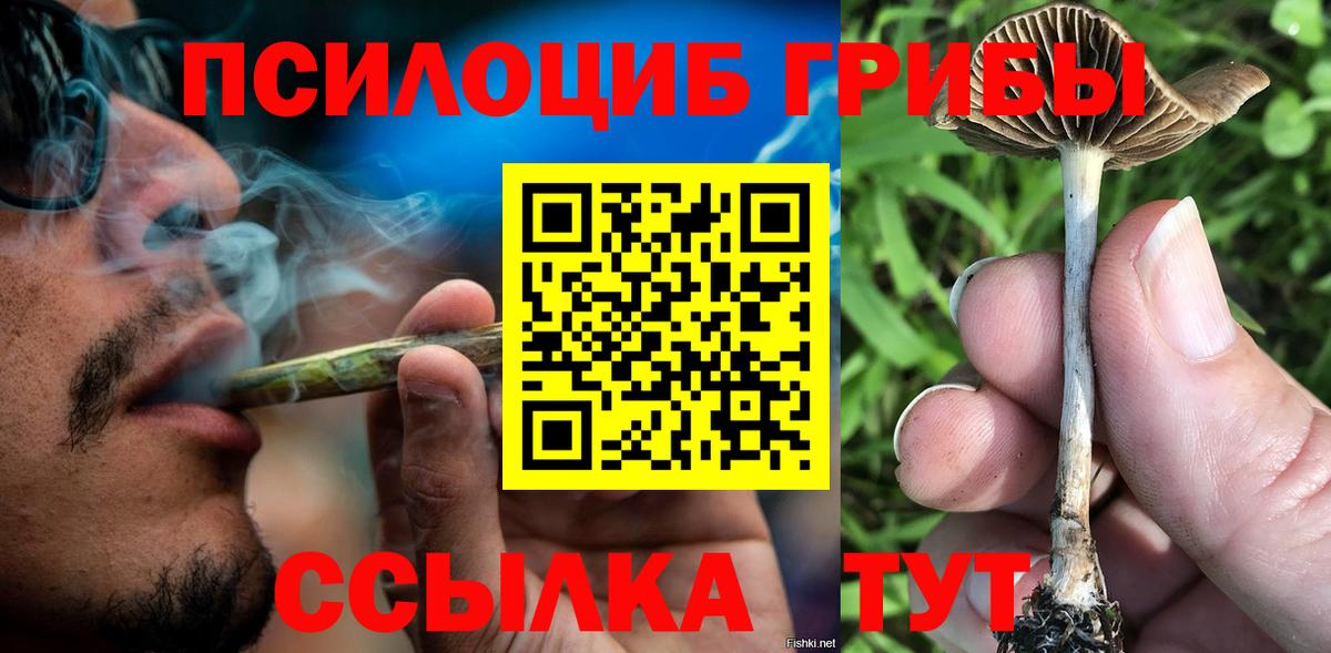 Галлюциногенные грибы ЛСД Калининград